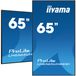 iiyama LH6565UHSB-B1 65" 4K LED Écran d'affichage dynamique - Android 11, WiFi, HDMI, Noir