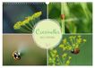 Coccinelles Calvendo Coccinelles rouges à points noirs (Calendrier mural 2027 DIN A3 vertical), CALVENDO calendrier mensuel