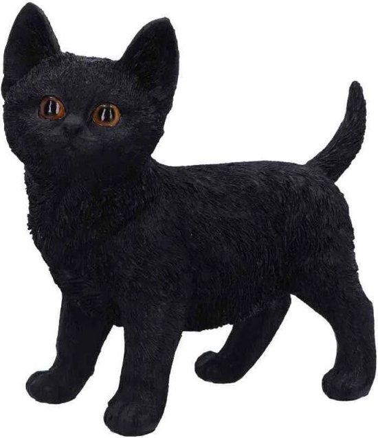 Nemesis Now Charmed Companion Decoratieve Artikelen