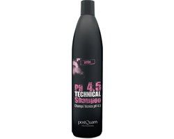 POSTQUAM HAIR CARE TECHNIEK Clarifying shampoo for all hair types, dry hair 500ml