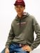 Tommy Jeans Sweatshirt Tjm Reg Dna Hoodie Ext Dm0dm22113