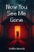 Now You See Me Gone: A Slow Burn Romantic Suspense with Secrets, Lies, and Deadly Illusions