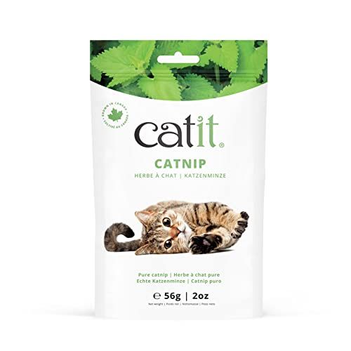 Echte kattenkruid - 56g