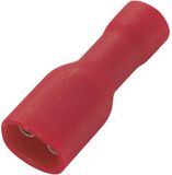TRU COMPONENTS 1566938 Platte stekker (female) Insteekbreedte: 4.8 mm Insteekdikte: 0.5 mm 180 ° Volledig geïsoleerd Rood 50 stuk(s)
