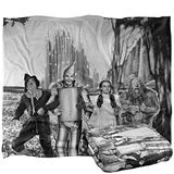 THE WIZARD OF OZ Silky Touch superzachte plaid 152 x 127 cm