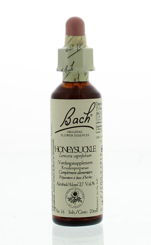 Bach Flower Remedies Kamperfoelie 16 - 0741273005735