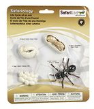 Safari Ltd. Speelfiguren Levenscyclus Mier - Safari Ltd 4 stuks