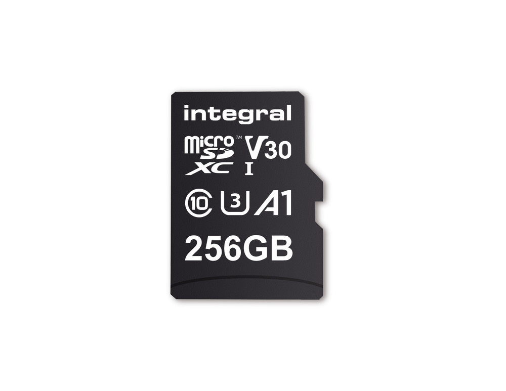 Integral INMSDX256G-100V30