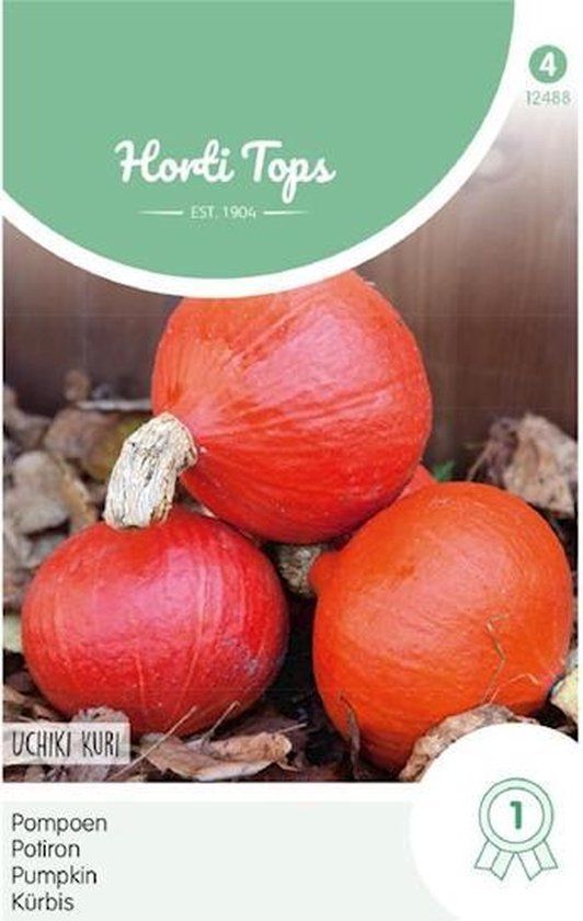 Hortitops Zaden - Pompoenen Oranje Zon