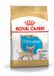 Royal Canin Chihuahua Junior - Hondenvoer - 500 g