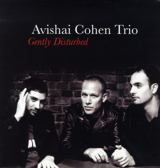 Avishai Cohen Gently Disturbed