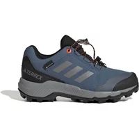 Adidas Terrex Terrex Gore-Tex Hiking Schoenen - Kinderen - Blauw