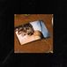 Bertus Distributie Victoria - Thomas Headon (EP)