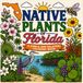 Native Plants of Florida: Simple and Relaxing Coloring Books for All Ages