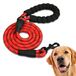 EDIPETS hondenriem, trainingsriem, gewatteerd, zacht handvat, touw voor puppy's en kleine, middelgrote en grote honden, 1.5 m (Rood)