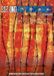 Sonic Rendezvous Various Artists - Sin Fronteras/ Without Borders (DVD)