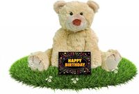 Happy Horse Verjaardag knuffelbeer Boogy 35 cm met gratis verjaardagskaart