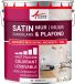 Arcadeco Peinture murale satinée professionnelle - Blanc - 10L