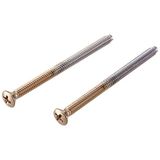 Delta RP196CZ Escutcheon Trim Schroeven (2), Champagne Brons