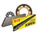Kettingset DID Kettingset Stealth 530VX3 / 102 klinknagel slot goud voor Honda VTR F Firestorm 1000 cc Bj. 1997-2005
