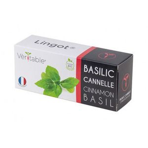 Veritable Lingot Orga Cinnam Basil