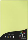 Pollen by Clairefontaine Stuifmeel van Clairefontaine Papier DIN A4, ivoor