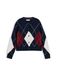 Tommy Hilfiger Gebreid vest ecru / marine / robijnrood