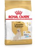 Royal Canin Labrador Retriever Adult 5+ - Hondenvoer - 12 kg