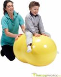 Gymnic Physio Roll 30 - Pindabal - Blauw - Ø 30 cm