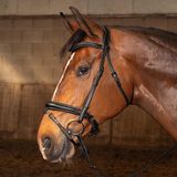 Harry's Horse Hoofdstel Soft Carbon Black Edition Pony Zwart