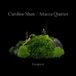Warner Music Nonesuch Caroline Shaw: Evergreen