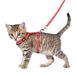 Flamingo Harnais pour chat + Laisse Aiwa - Harnais pour chat - Assorti 15-25cm 10mm