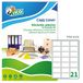 Tico PG4-6136 etiketten, rechthoekig, 100 FF, 61 x 36, wit