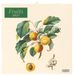 Fruits Neumann Verlage GmbH & Co. KG Fruits 2027