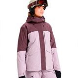 Roxy Stormday Gore-Tex Jas Paars S Vrouw