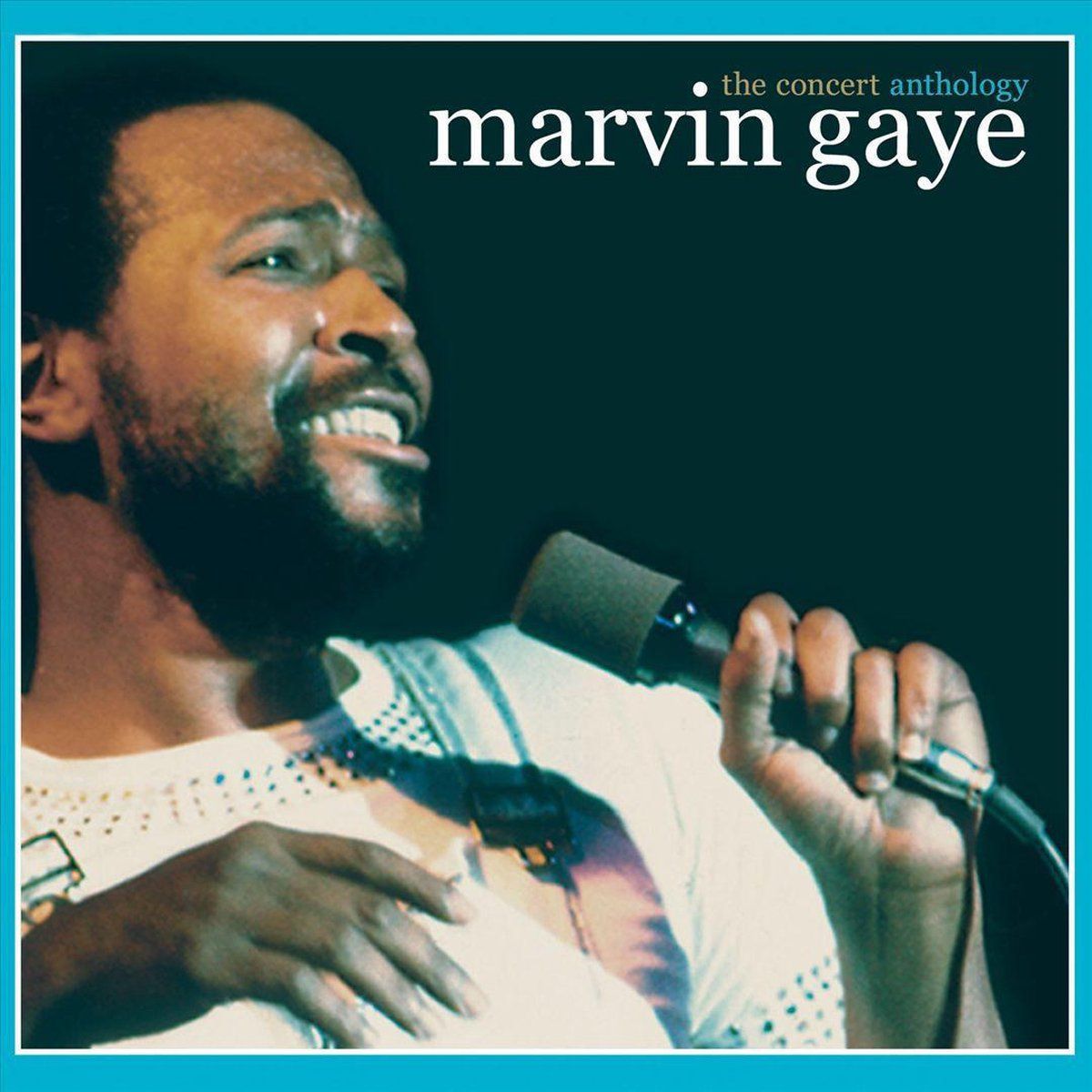 Sonic Panda Sonic Marvin Gaye - Concert Anthology