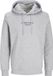 JACK&JONES JREBJEANS REBEL PRINT SWEAT HOOD SN Hoodie Heren Grijs Katoen/Polyester