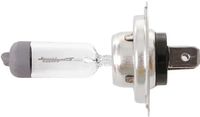 COREXX H7LL PX26D 12V 55W Car Headlight Bulb