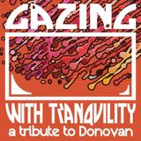 Rock The Cause Gazing With Tranquility LP