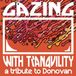 Rock The Cause Gazing With Tranquility LP