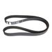 Cam-riem voor deelnemers 2.5 CRD CT1123 g1518h QTB717 55220 Lade 5586 X S