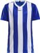 Craft Progress Jersey Stripe Jr 1905584 - Club Cobolt - 146/152