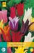 Jub Tulipa Leliebloemig mix bloembollen 7 bollen Tulp JUB