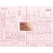 FOREO THE FOREO ICONS BEAR™ 2 Edition Set de soins du visage
