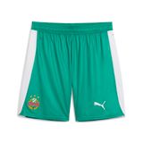 PUMA SK Rapid Wien 25/26 short voor Heren, Groen/Wit, Maat S