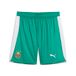 PUMA SK Rapid Wien 25/26 short voor Heren, Groen/Wit, Maat S
