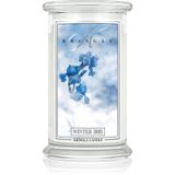 Kringle Candle Winter Iris