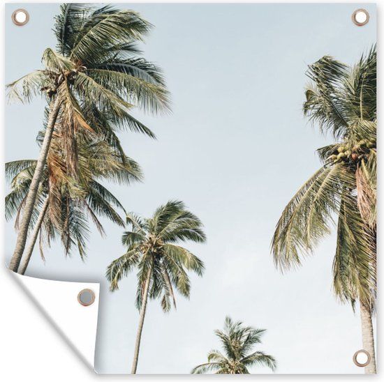 GreatGardenPosters Schuttingposter - Palmboom - Tropical - Zomer - 200x200 cm - Tuinposter - Wanddecoratie - Tuindoek - Buitenposter