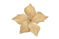 PARTENOPE SRL M.91020 bloem Small champagne 306162683