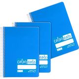 Grafoplás 98533230 notitieboeken, gelinieerd, A5, omslag van polypropyleen, blauw, FSC-gecertificeerd, serie Color Note